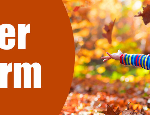 Book a family activity holiday for October half term!